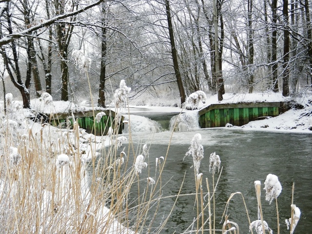Winterimpressionen an der Paar bei Radersdorf.